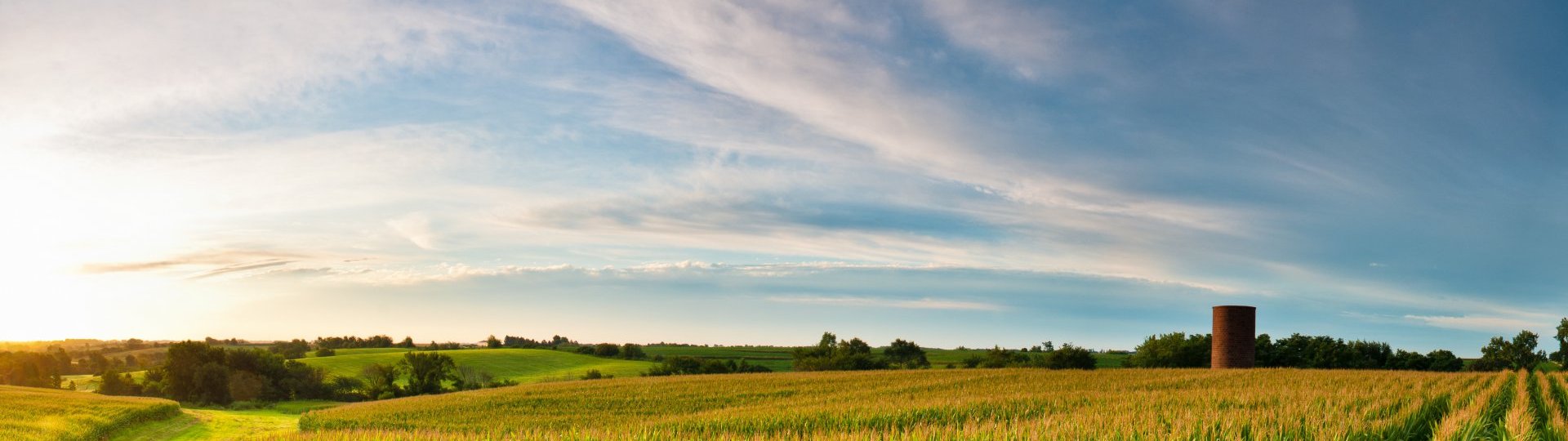 Endodontics West Des Moines IA, Endodontist